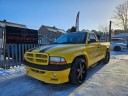 DODGE DAKOTA RUMBLE BEE REP V6